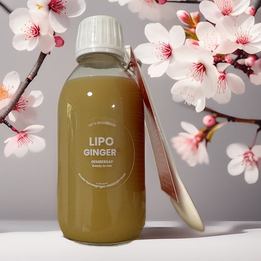 Lipo Ginger - De Kracht van Pure Gember voor Jouw Gezondheid